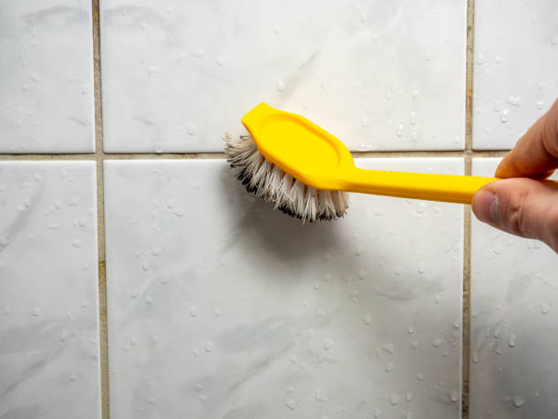 Best Home Mold Removal  in Goshen, KY