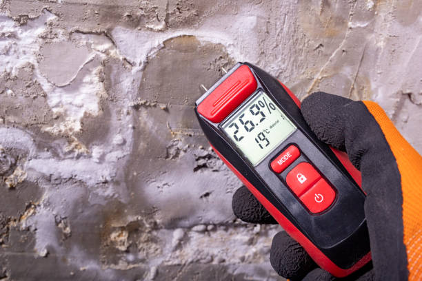 Best Office Mold Removal Services  in Goshen, KY