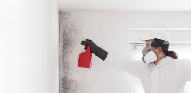 Best Mold Testing  in Goshen, KY