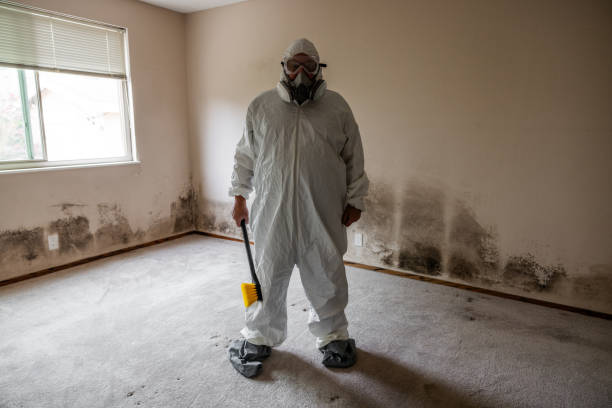 Best Residential Mold Removal  in Goshen, KY